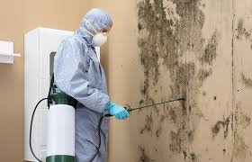 Best Comprehensive Air Testing for Mold Contaminants  in Mount Ida, AR